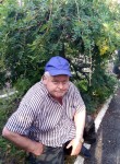 Vladimir, 53, Krasnodar