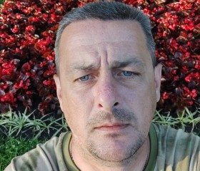 Владимир, 44 года, Новочеркасск