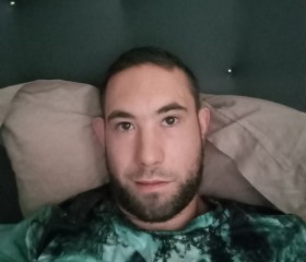 Lézard, 29, Saintes