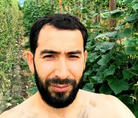 Khan, 37, Kaliningrad