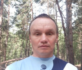 Андрей Степанов, 52 года, Чебоксары