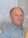 Viktor, 71, Moscow