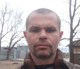 Сергей, 43 года, Tallinn