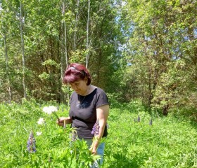 Любовь, 55 лет, Калуга