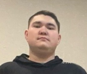 Damir, 19, Ulyanovsk