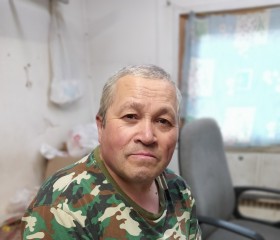 Марат, 60 лет, Озёрск (Челябинская обл.)