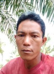 Joy, 35 лет, Kota Palembang