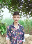 Ankit Kumar, 20 лет, Lucknow