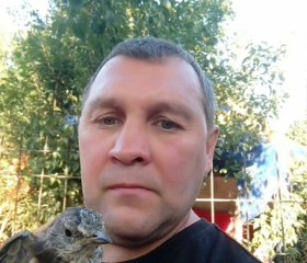 Анатолий, 55 лет, Пермь