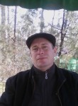 Vitalik Demidov, 47 лет, Тараз