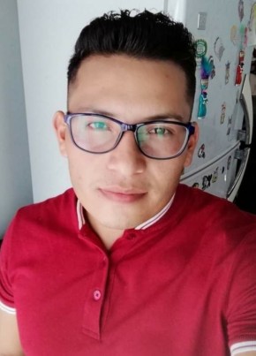 Luis, 33, Estados Unidos Mexicanos, México Distrito Federal