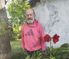 Владимир, 76 лет, Екатеринбург