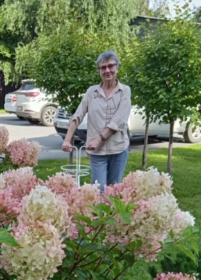 Viktoriya, 59, Russia, Novosibirsk
