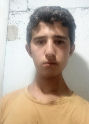 Hüseyin, 21, Türkiye Cumhuriyeti, Viranşehir