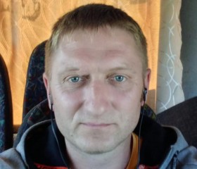 Александр, 41 год, Пушкинские Горы