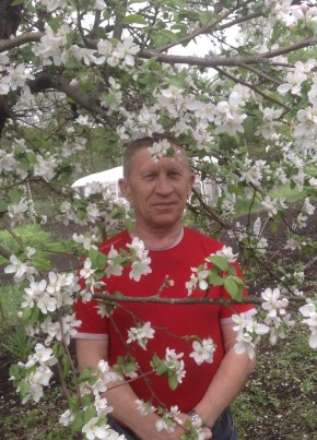 Genri, 71, Россия, Балашов