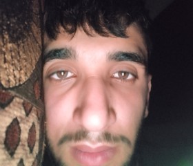 محمد, 23, New York City