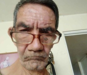 Javier, 67 лет, Guadalajara