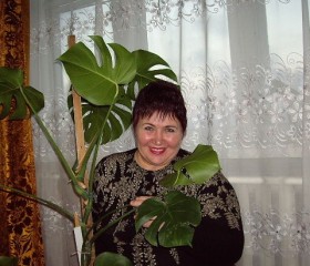 Светлана, 66 лет, Ахтырский