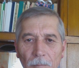 Viktor, 74 года, Slobozia
