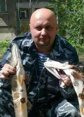 Николай, 50, Россия, Сысерть