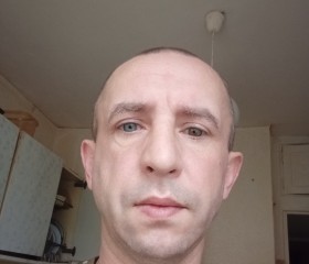 Олег, 45 лет, Мытищи