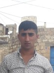Hüseyin, 22 года, Bilecik
