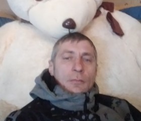 Дима, 41 год, Барань