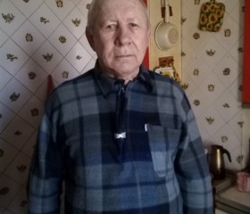 Анатолий, 76 лет, Одеса