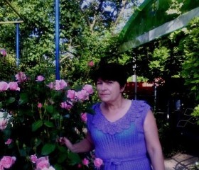 Алена, 65 лет, Ростов