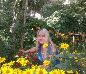 Елена, 37 лет, Харків