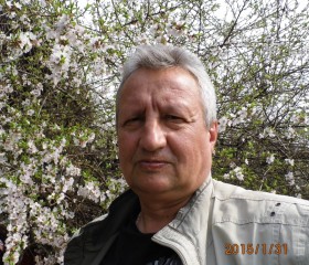 Игорь, 65 лет, Клинцы
