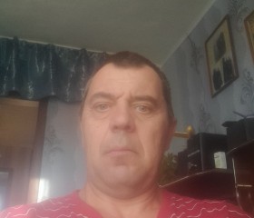 Вадим Веклич, 49 лет, Еманжелинский