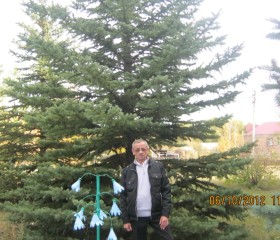 Анатолий, 68 лет, Оренбург