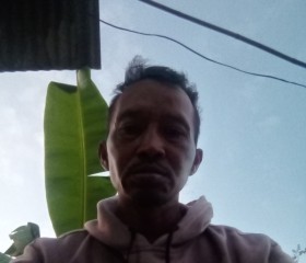 Karsani, 46 лет, Kota Surabaya