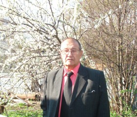 Владимир, 71 год, Чита