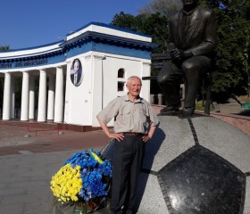 Владимир, 81 год, Київ