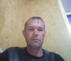 Владимир, 40 лет, Параньга