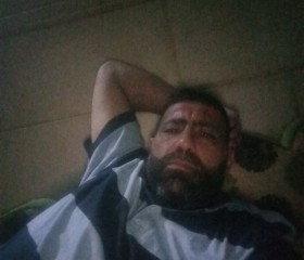 شيخ الوادي, 45, Aberdeen