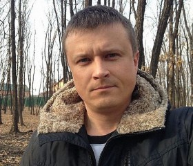 Александр, 39 лет, Алексеевка