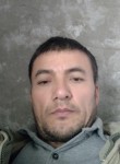 Миша, 40 лет, Toshkent