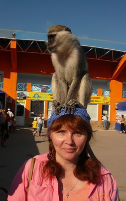 Людмила, 56, Россия, Новокузнецк