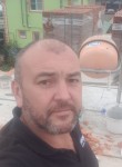 Roman, 43  , Moscow
