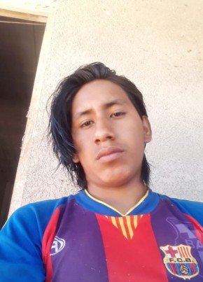 Miguel, 23, Estado Plurinacional de Bolivia, Ciudad La Paz