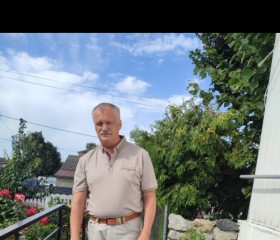 Oleg, 65, Saint Petersburg