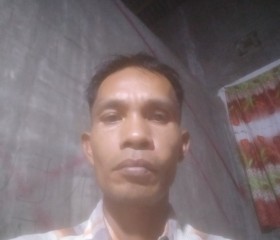 Edwar, 44, Tanjungbalai