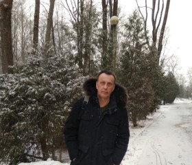 Петр Жемжуров, 65 лет, Купавна