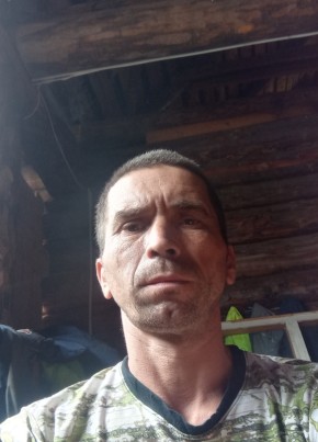 Роман, 41, Россия, Верещагино