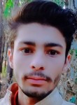 Shehryaar, 19 лет, ایبٹ آباد‎