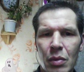 Сергей, 48 лет, Кильмезь